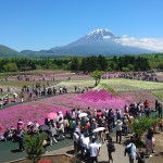 富士芝桜祭り