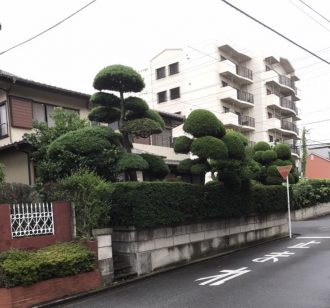 千葉市中央区松波の解体工事を行いました。